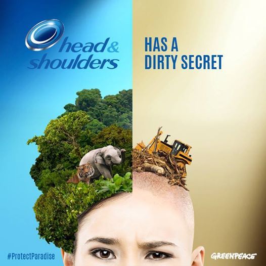 Head and Shoulders, Procter and Gamble has a Dirty Secret - Greenpeace Campaign