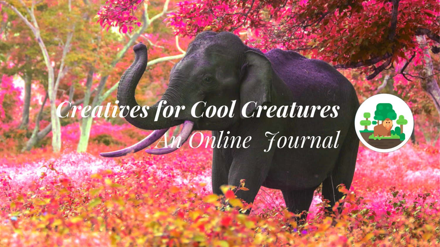 Creatives for Cool Creatures an Online Journal