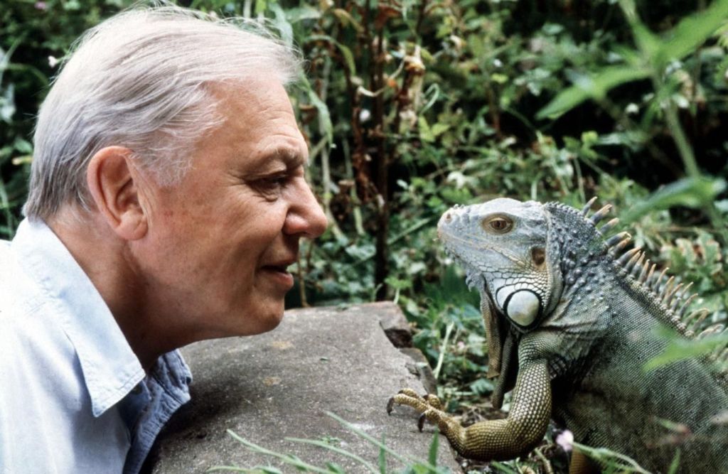DAVID ATTENBOROUGH, BROADCASTER, NATURALIST