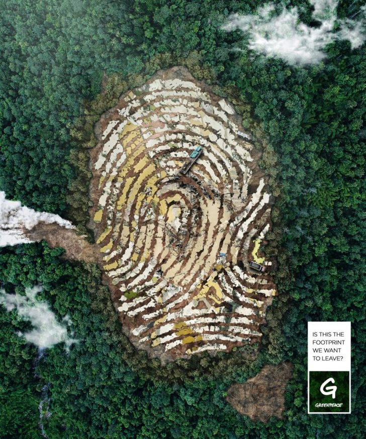 Rainforest campaign by Greenpeace