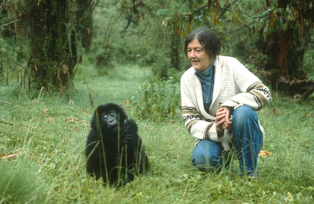 DIAN FOSSEY, SCIENTIST, ACTIVIST, AUTHOR
