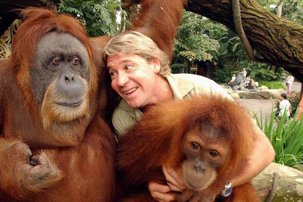 STEVE IRWIN, BROADCASTER, ACTIVIST