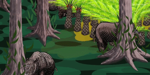 Sumatran Rhino Dicerorhinus sumatrensis