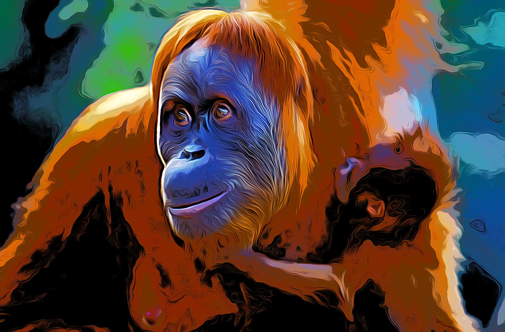 Sumatran orang utan (Pongo abelii) female 'Suma' reunited with male baby 'Forester in Sumatra, Indonesia