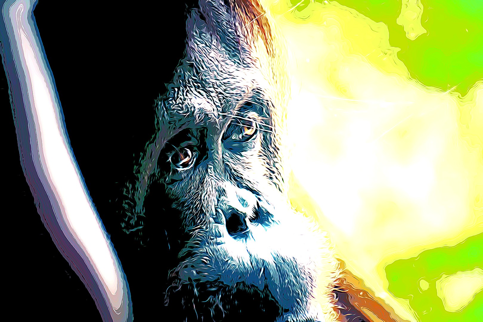 Orangutan in the forest