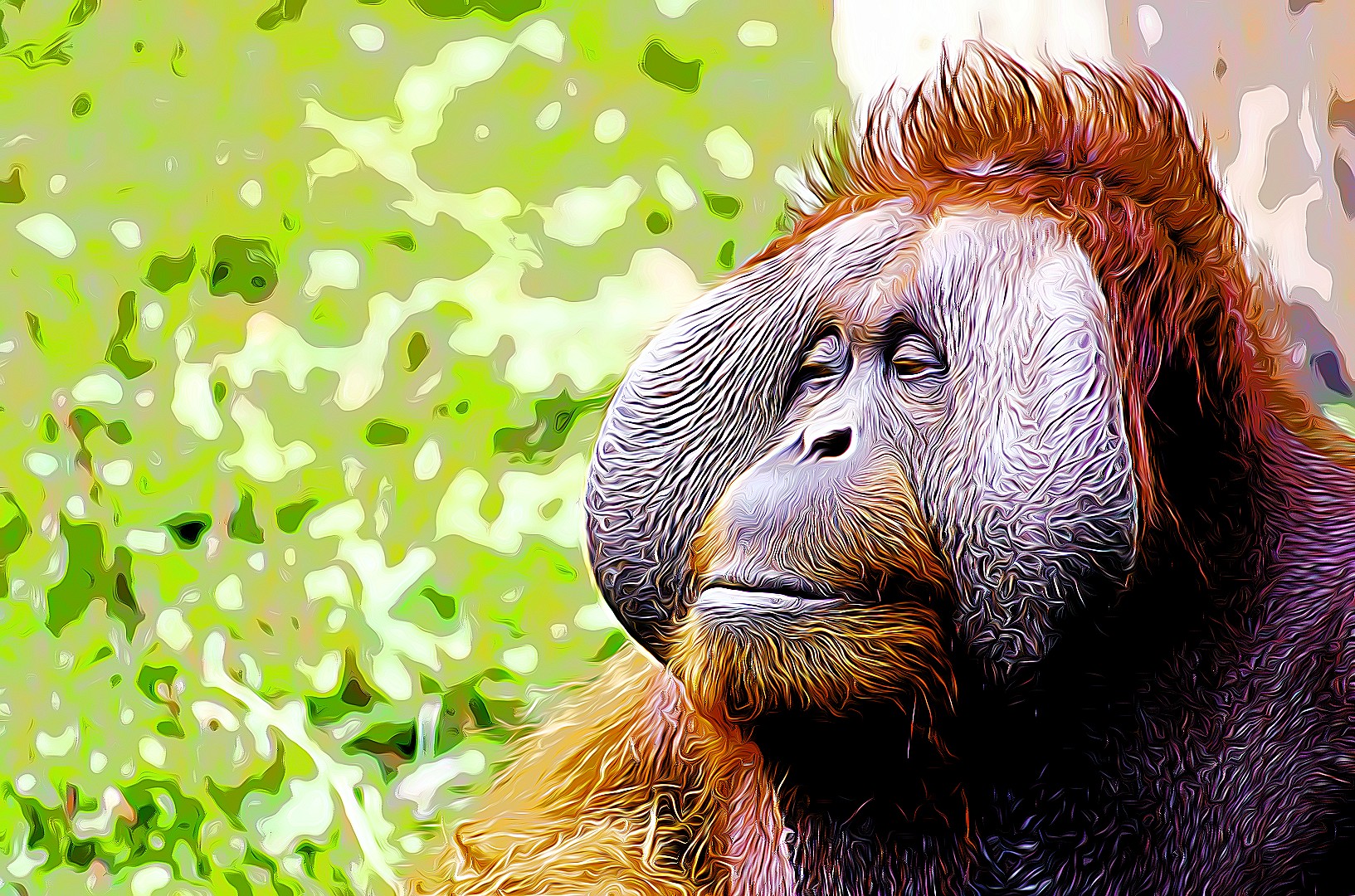 Orangutan in the forest