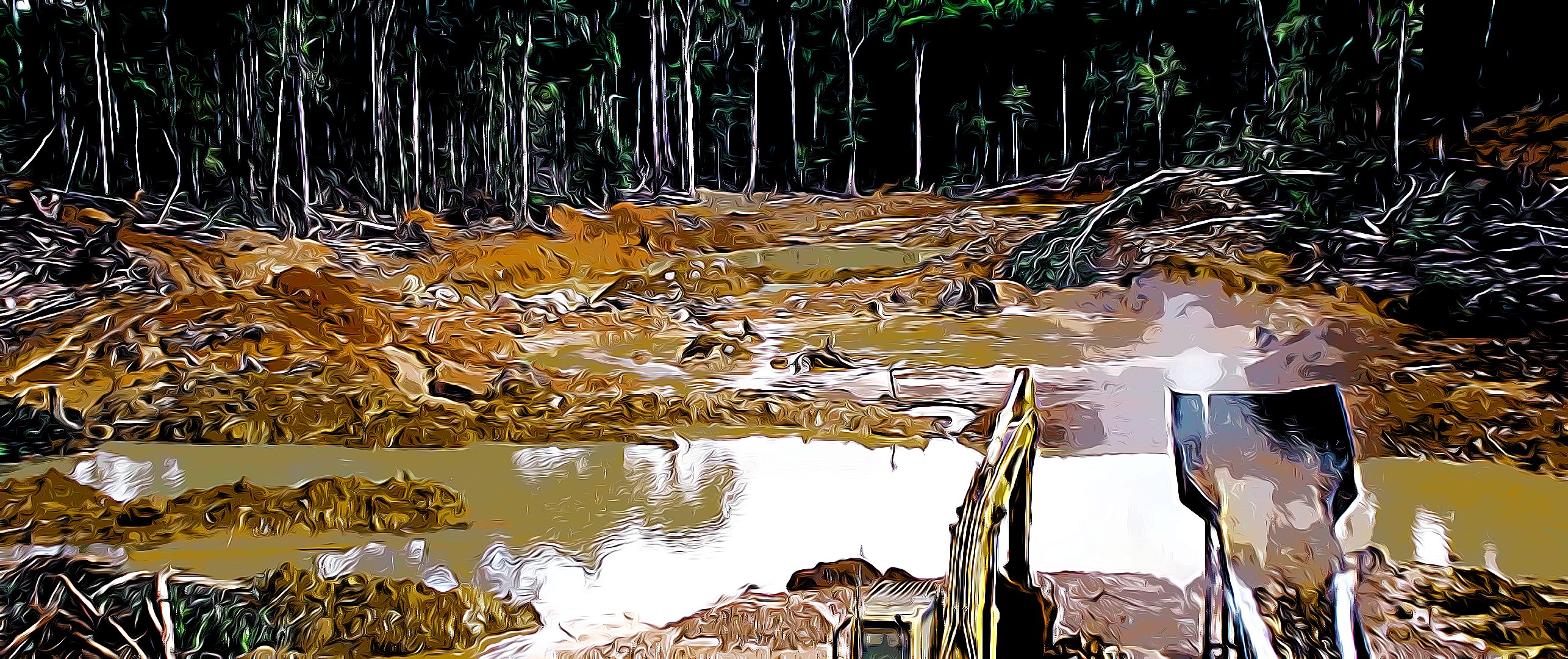 Gold Mining in the Amazon rainforest