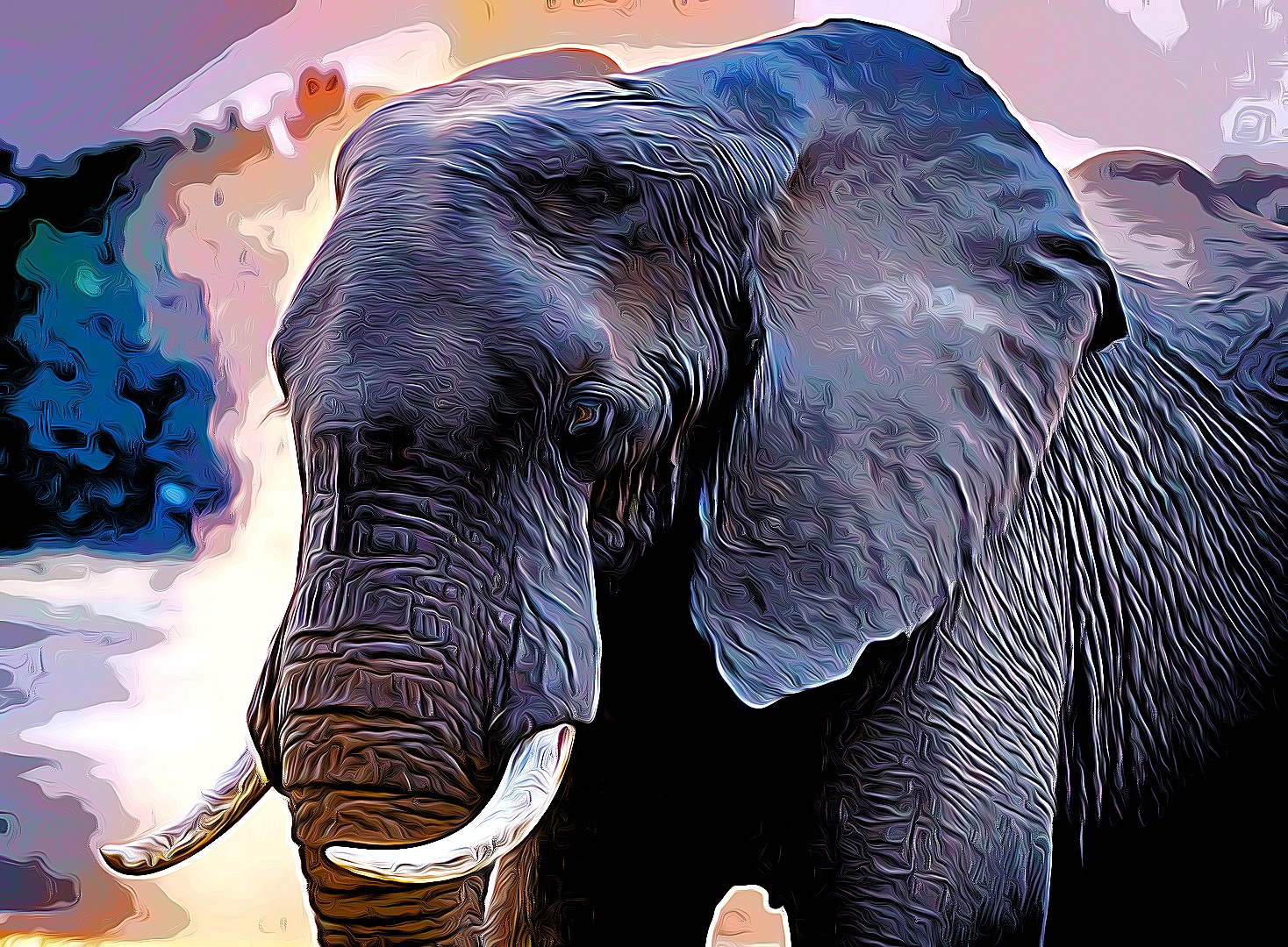 African Elephant Loxodonta africana