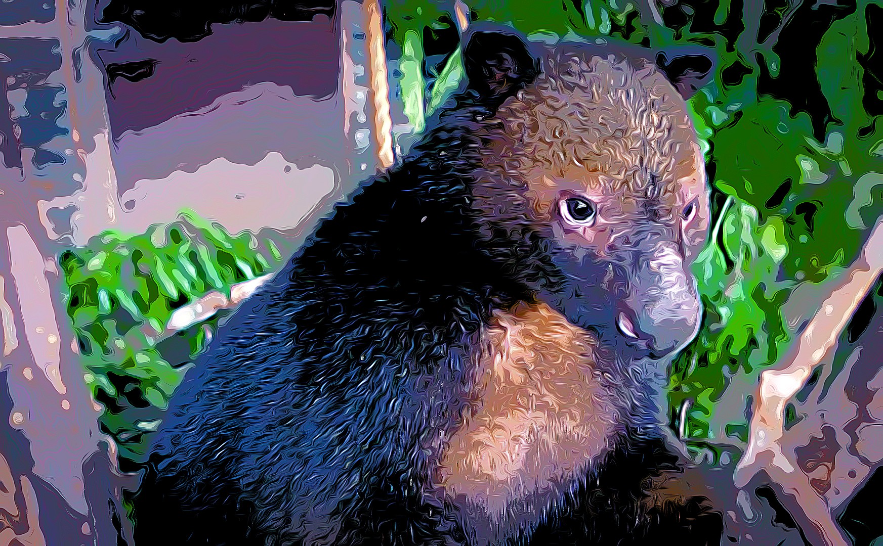 The Tenkile Dendrolagus scottae is critically endangered in Papua New Guinea