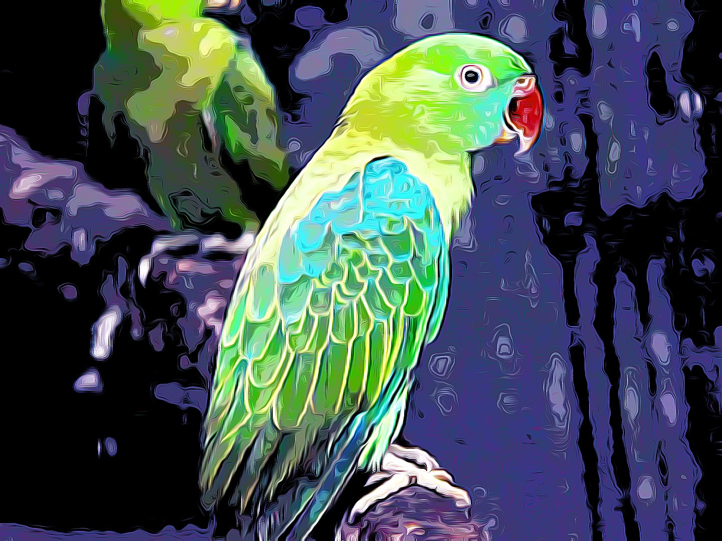 Blue-backed Parrot Tanygnathus sumatranus