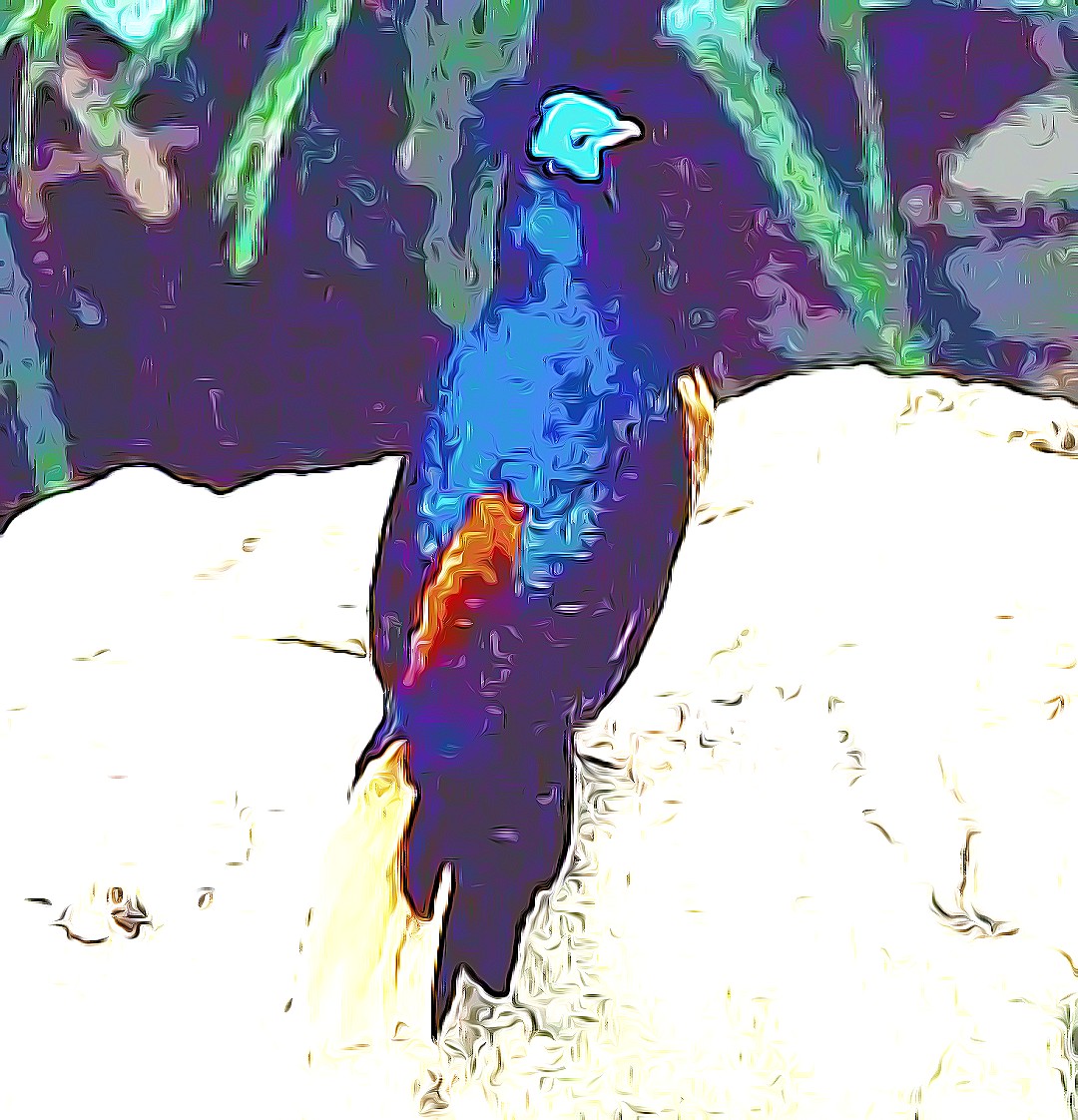 Bornean Crested Fireback Lophura ignita