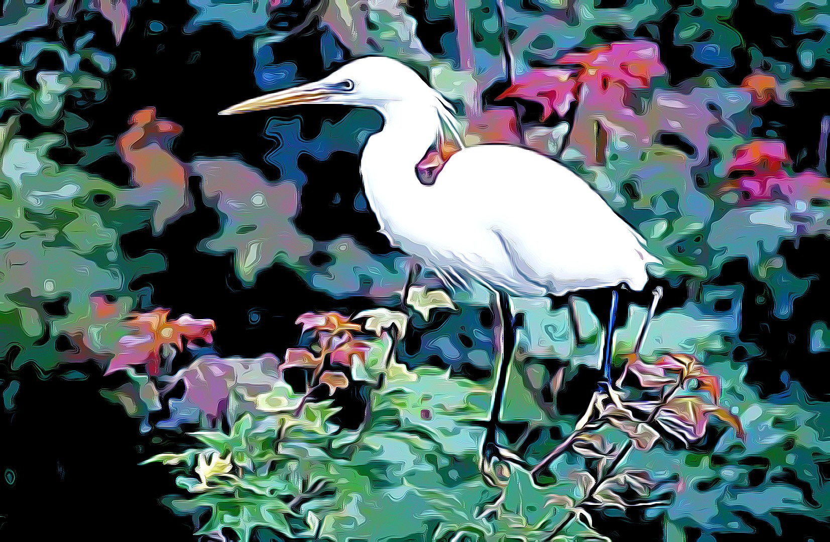 Chinese egret Egretta eulophotes