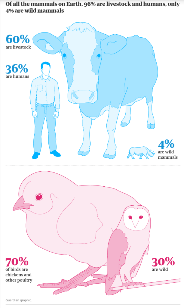 Currently, wild animals only make up 4% of the global biomass of animals, a whopping 60% of the world's biomass are animals we eat and the remaining 36% of the biomass are people 