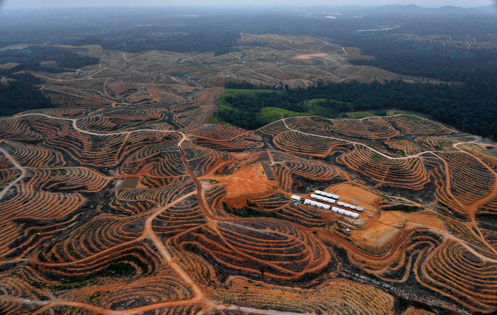 Explainer: What is a tipping point, why should we care? Palm Oil Detectives