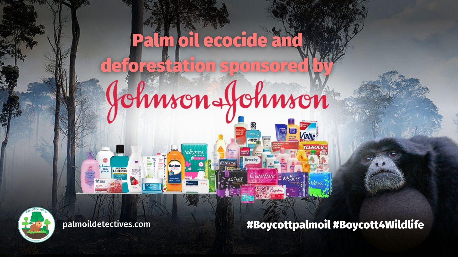Johnson & Johnson Palm Oil Detectives