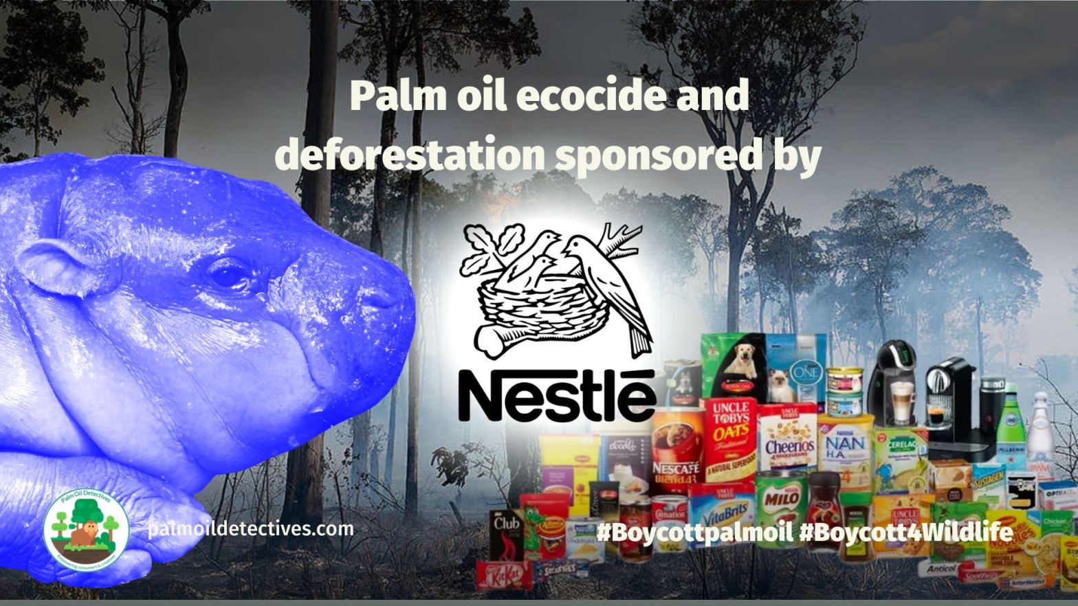 Boycott Nestle 2025