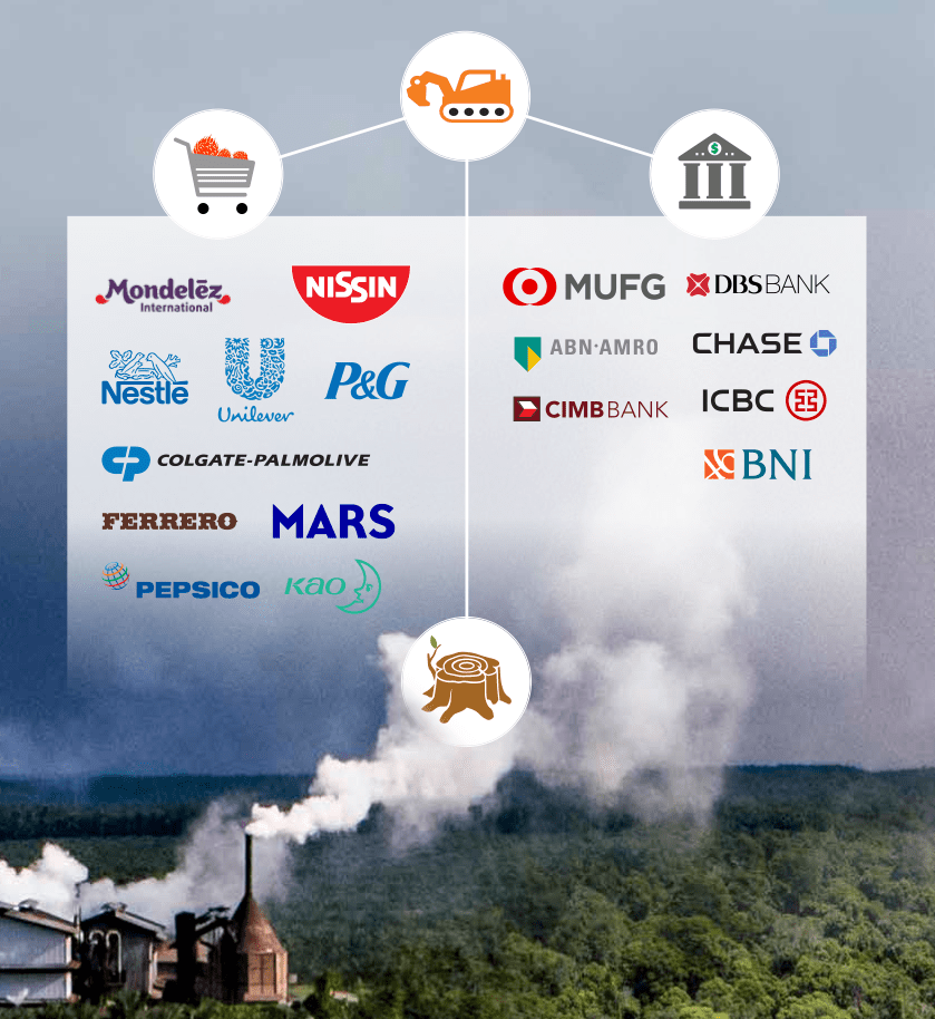 Deforestation for palm oil: Colgate-Palmolive, Nissin, Mondelez, Nestle, Unilever, P&G, Ferrero, PepsiCo, Mars