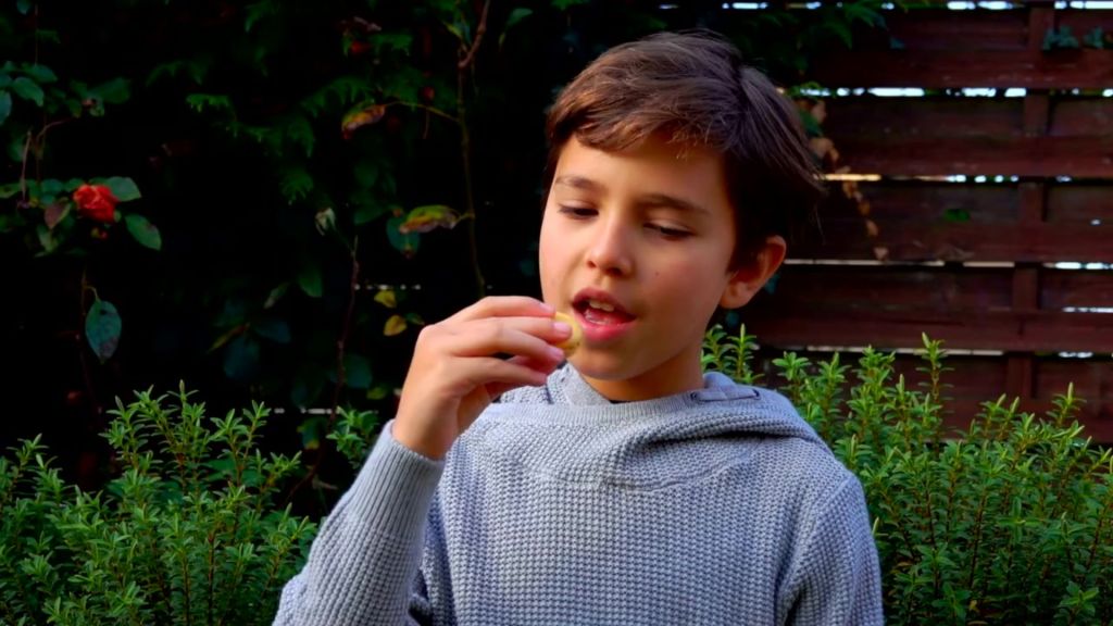 Palm oil free biscuits and cookies. Boy eating cookies