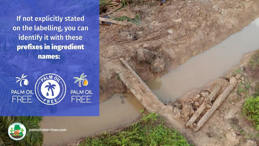 Palm oil free cleaning - take action and #BoycottPalmOIl 