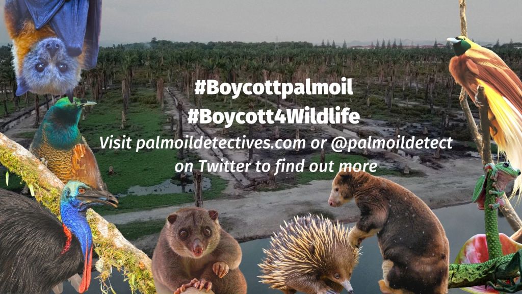 Palm oil free cleaning - take action and #BoycottPalmOIl 