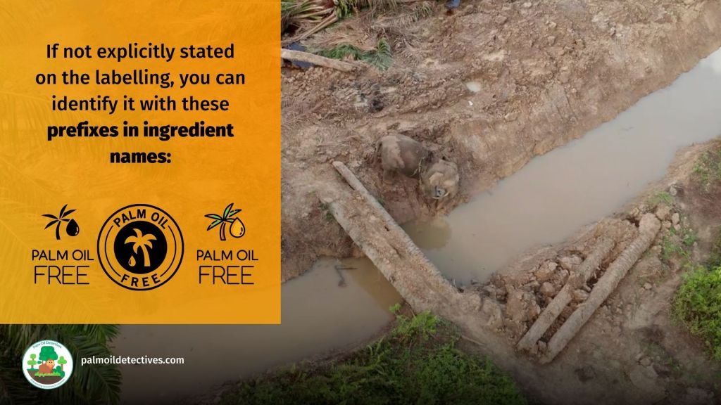 Learn how to find and boycott products with palm oil - convenience foods included