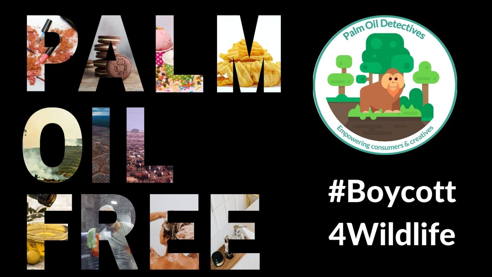 Palm Oil Free Products - Palm Oil Detectives