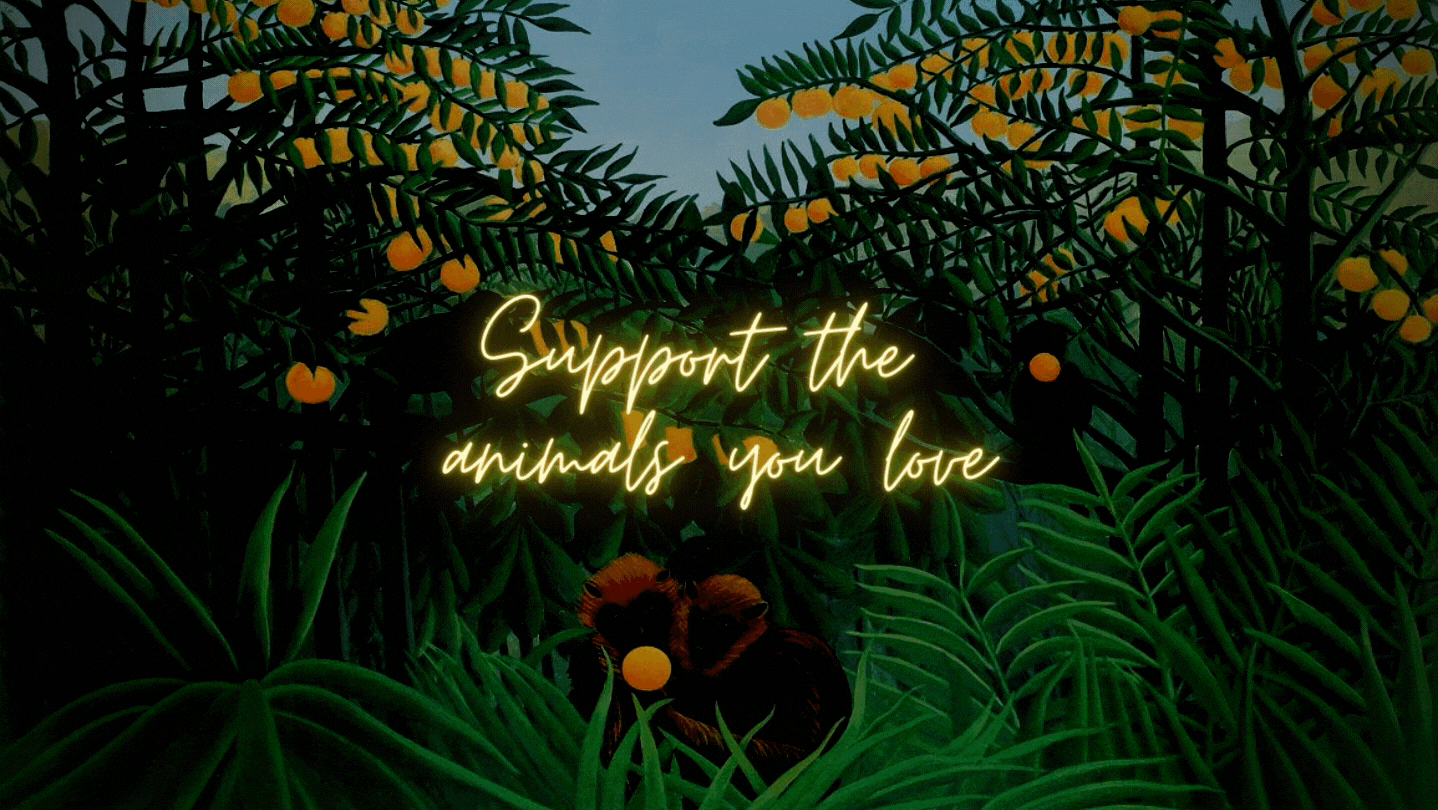 Palm OIl Detectives Banner showing jungle and call to action to boycott palm oil