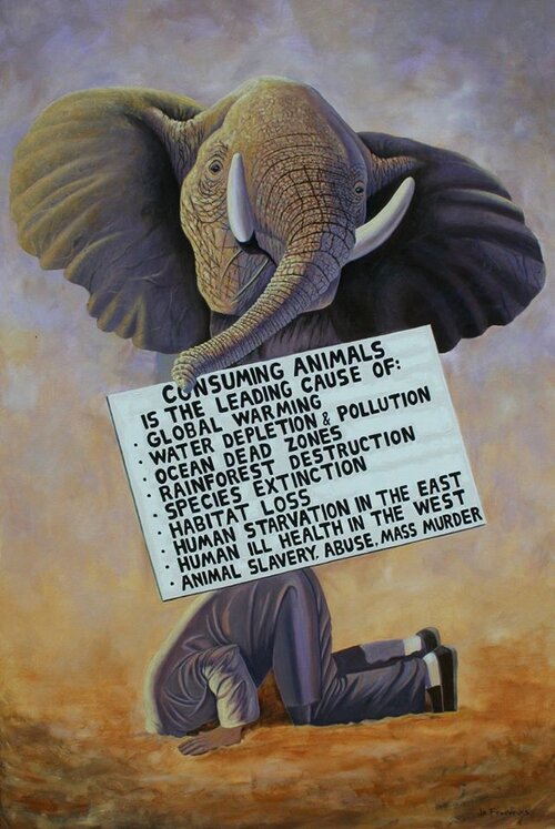 Elephant in the Room by Jo Frederiks