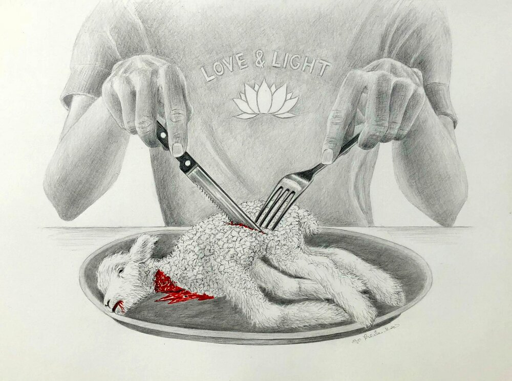 Irony of the enlightened by Jo Frederiks