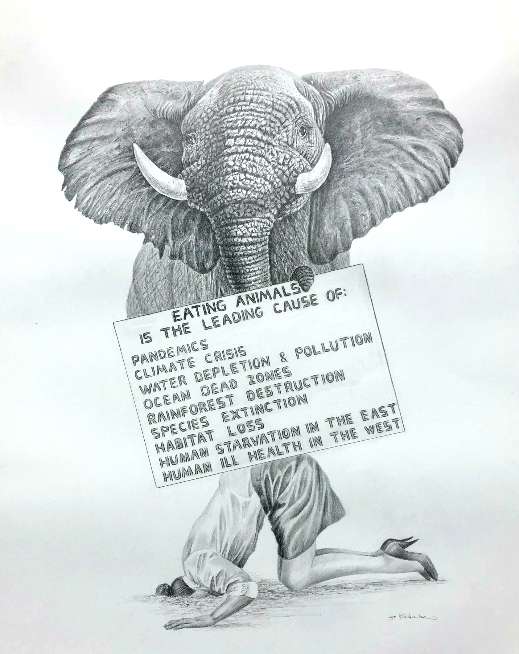 Elephant in the Room by Jo Frederiks