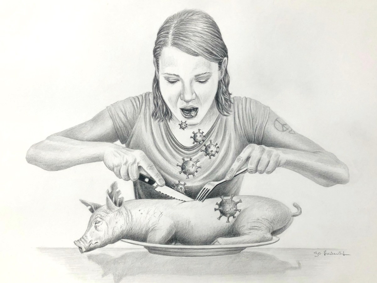 Deforestation Allows for Deadly Viruses to Jump&nbsp;Species