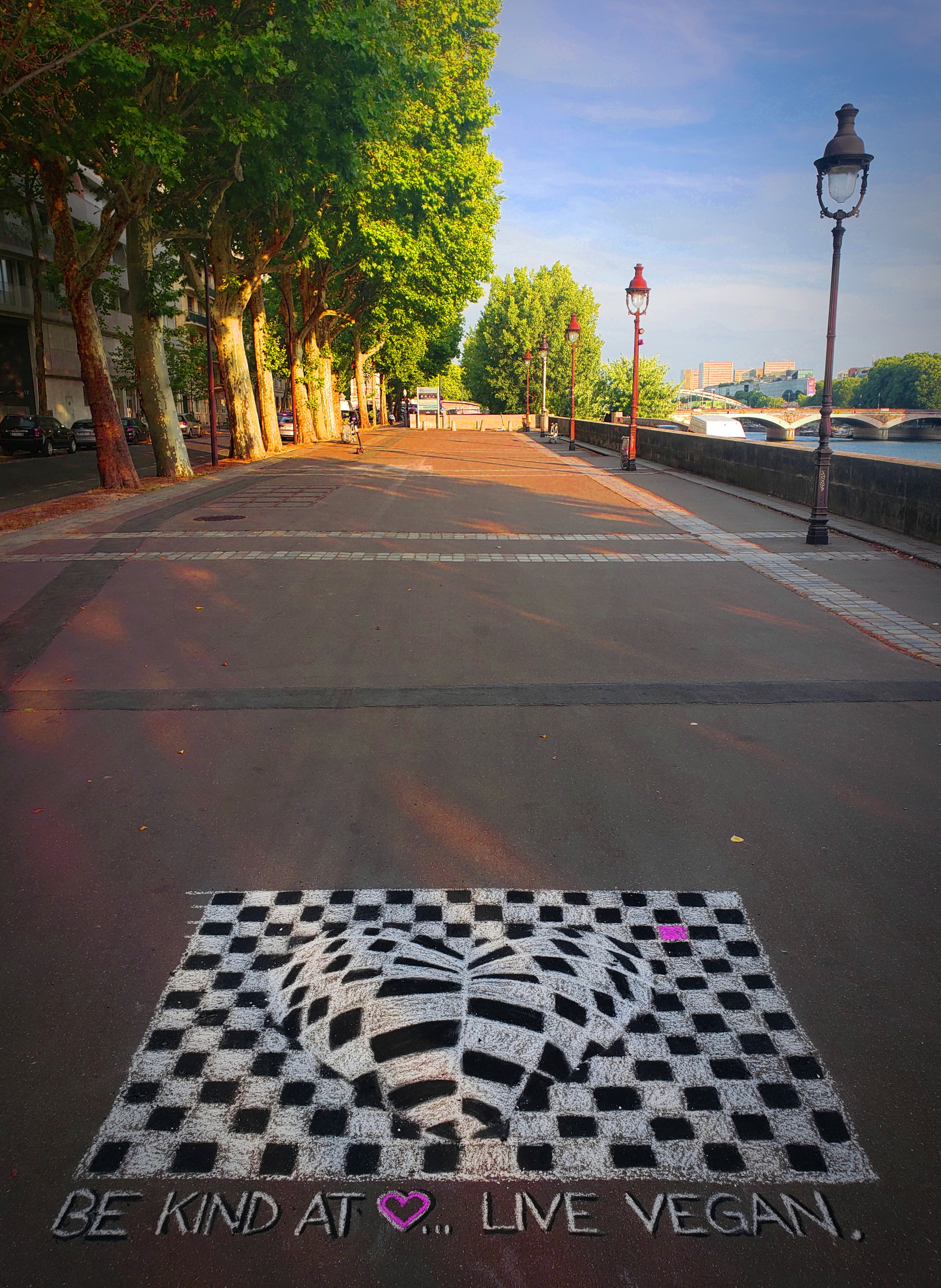 Pavement art by Nicole McLaren