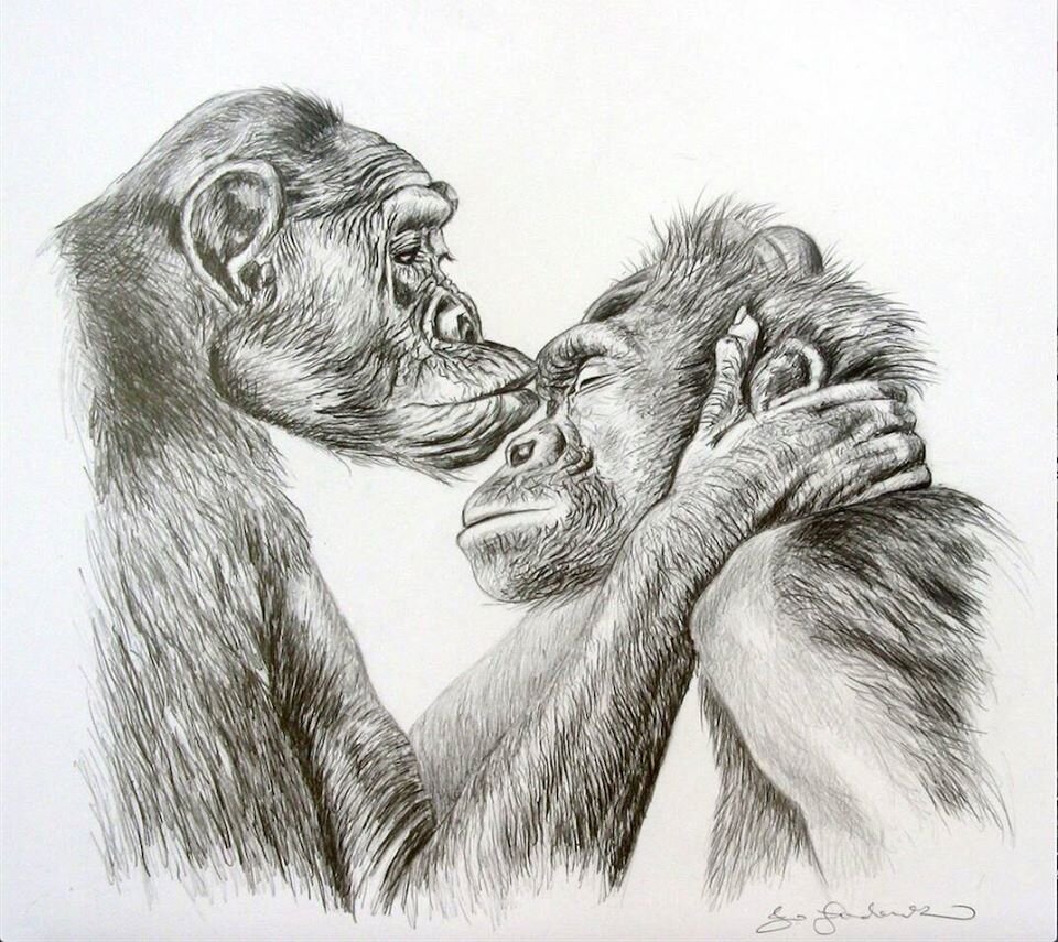 Tenderness by Jo Frederiks