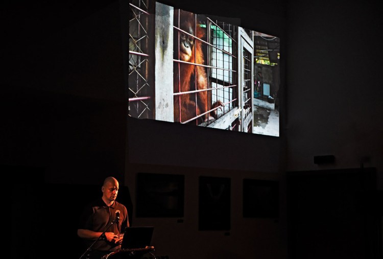 Craig Jones raises awareness of the plight of orangutans and other animals in Sumatra and advocates for better, ethical wildlife photography that does not harm animals.