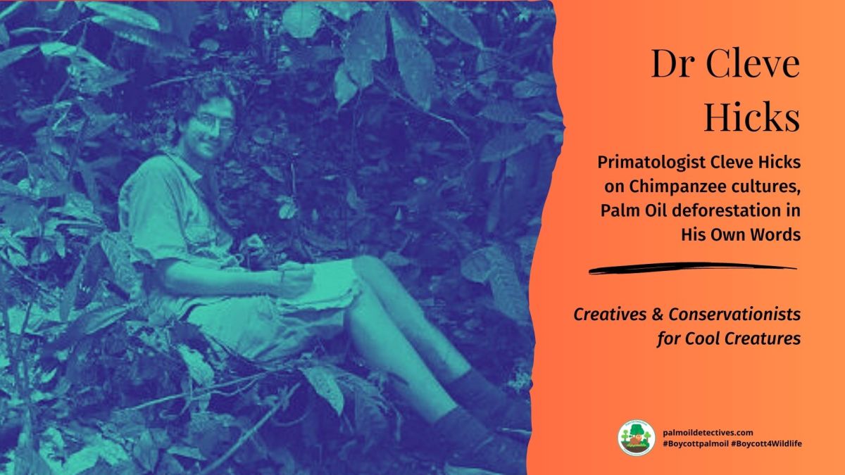 Primatologist Cleve Hicks on Chimpanzee cultures, Palm Oil&nbsp;deforestation