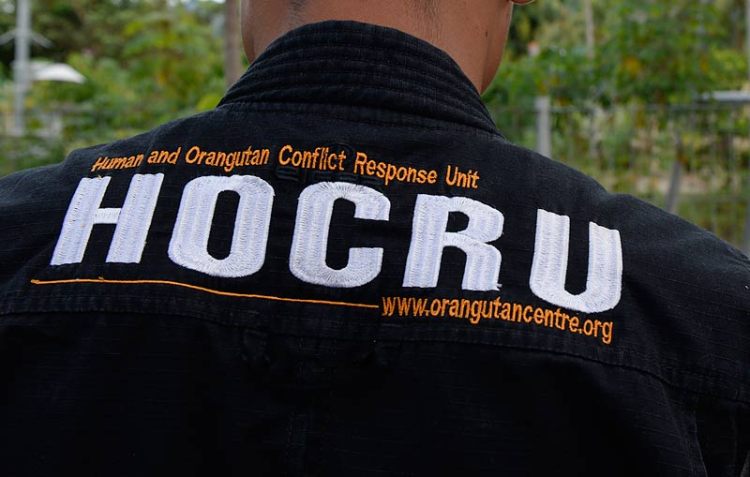HOCRU - Brave wildlife rangers attempting to save animals on so-called "sustainable" palm oil plantations