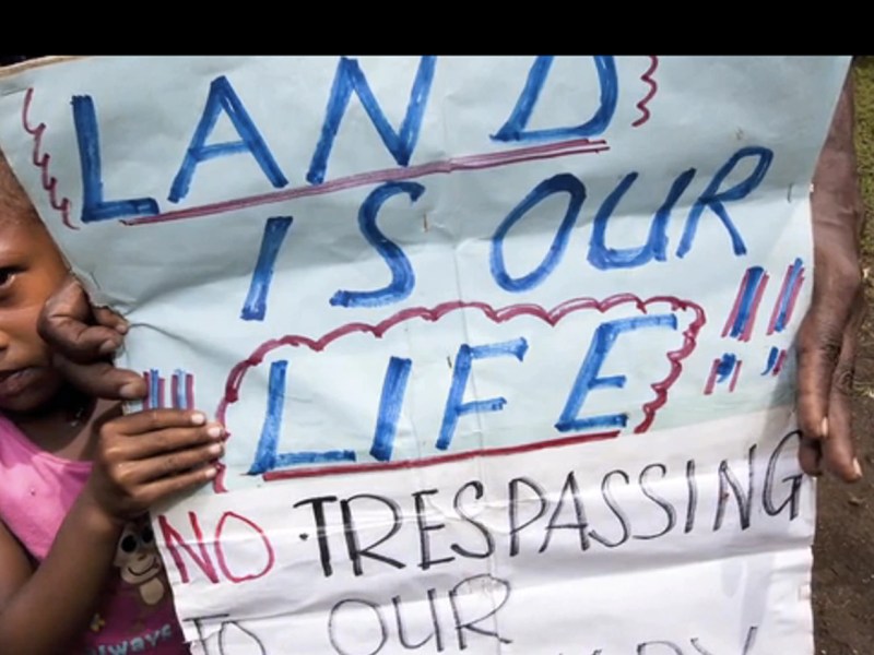 Palm Oil Lobbyists Getting Caught Lying Orangutan Land Trust and&nbsp;Agropalma