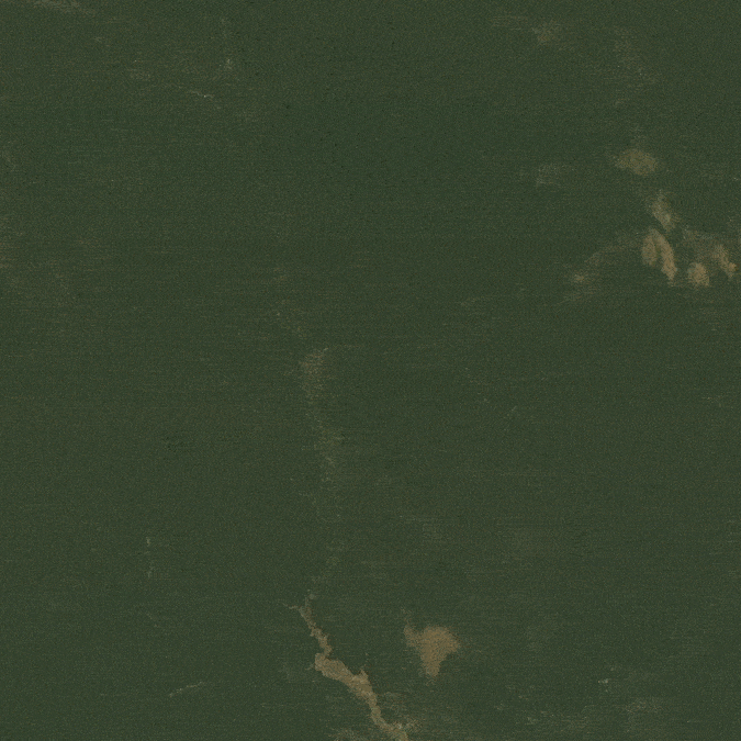 amazon-deforestation