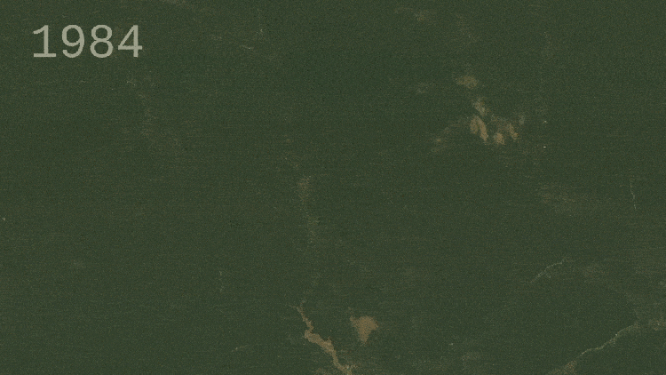 amazon-deforestation