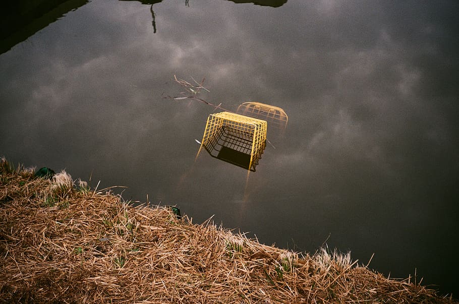 Dead lake pollution deforestation for palm oil