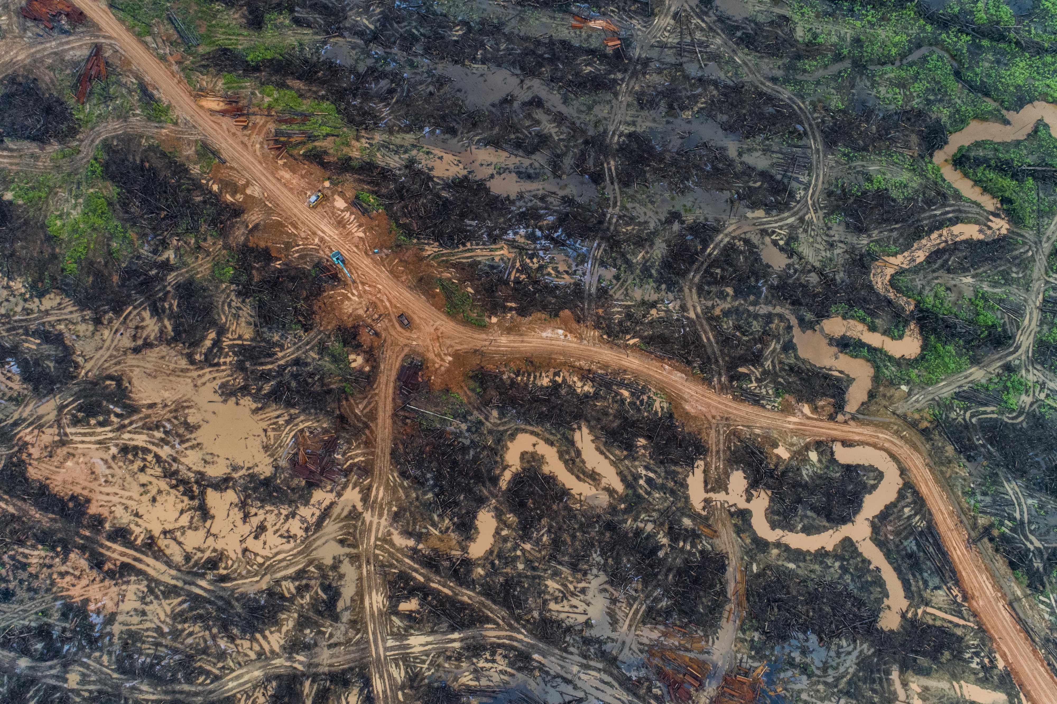 Deforestation in West Papua