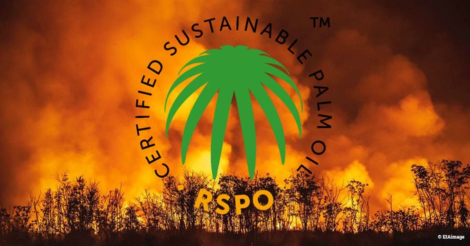 Report: Environmental Investigation Agency: Sustainable palm oil is a con