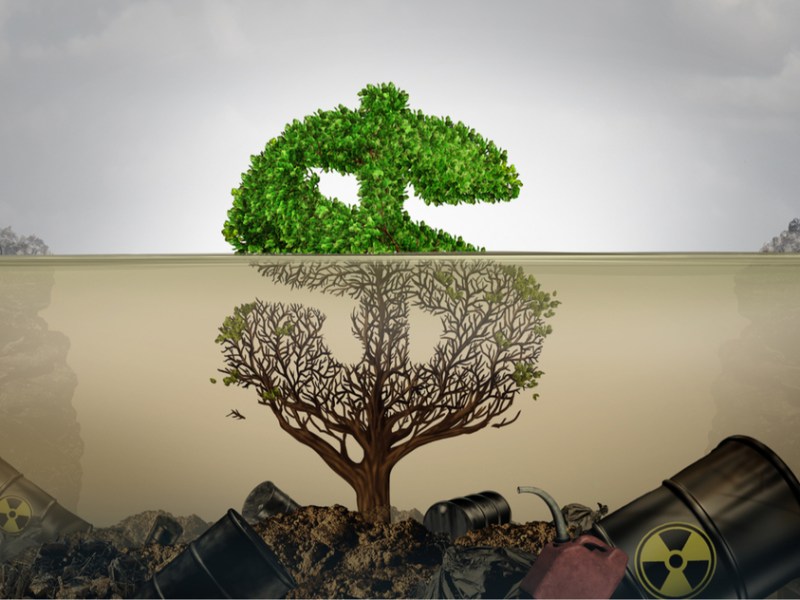 Why join the #Boycott4Wildlife?