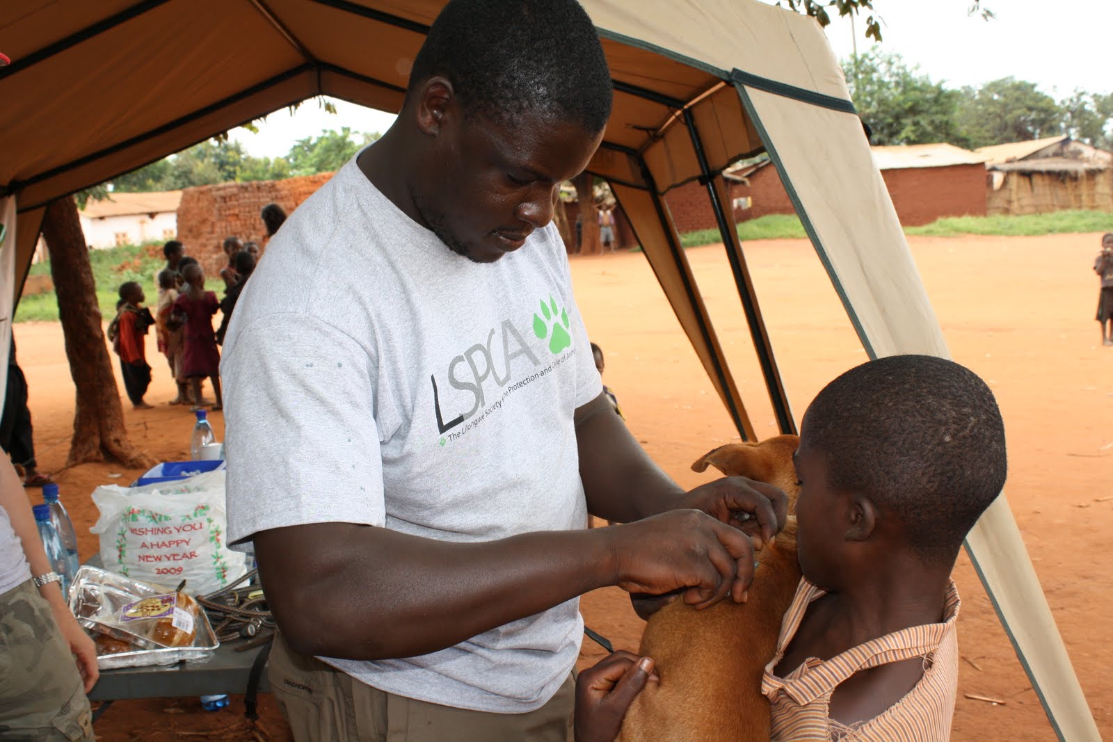 Helping dogs with rabies vaccinations