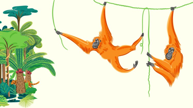 Greenwashing example - words and design