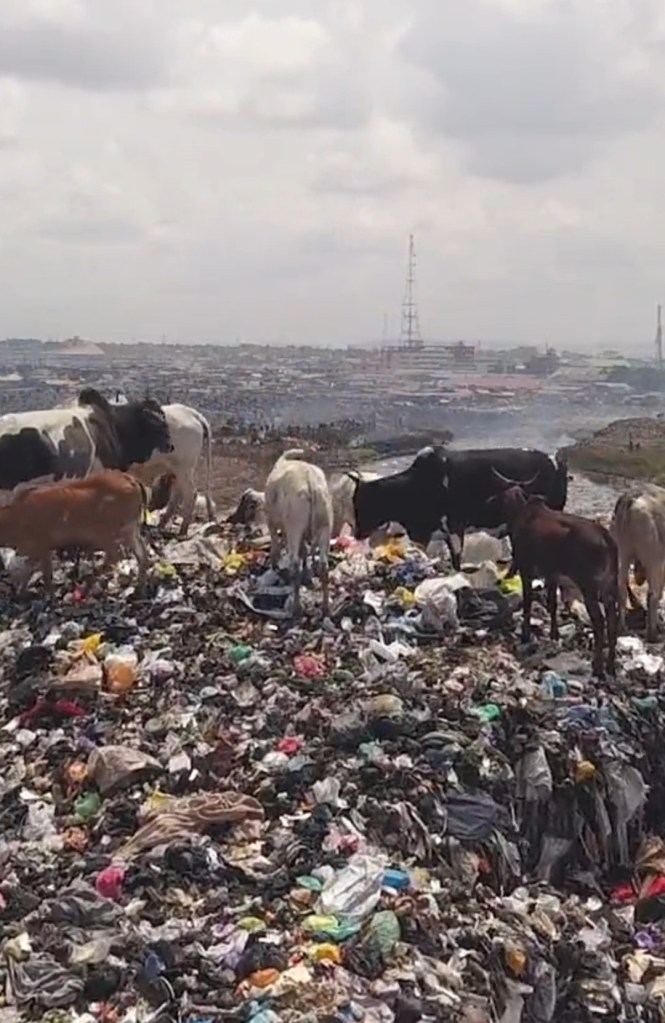 Pollution from clothing waste shipped from the EU, Australia and the USA to Ghana. Source: ABC Four Corners Australia