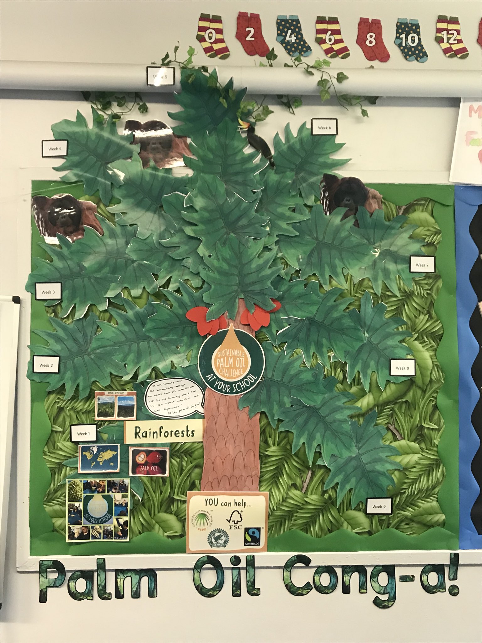 Greenwashing example: Schools across the UK are given false information about so-called 'sustainable' palm oil that it is 'safe' for orangutans and helps the livelihoods of farmers