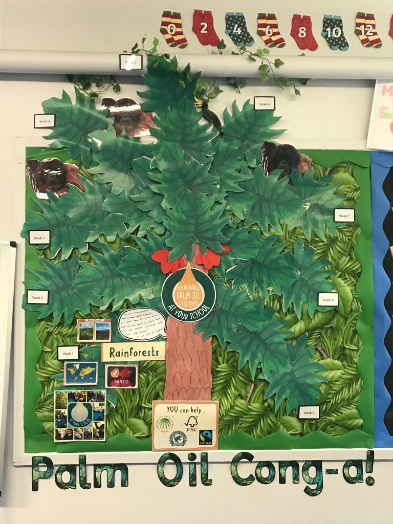 One school's response to the call to join the 'Palm Oil Conga'