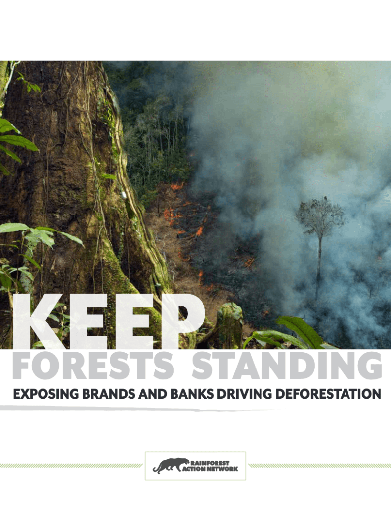 Keep the Forests Standing: Exposing Brands and Banks Driving Deforestation. Rainforest Action Network (2021)