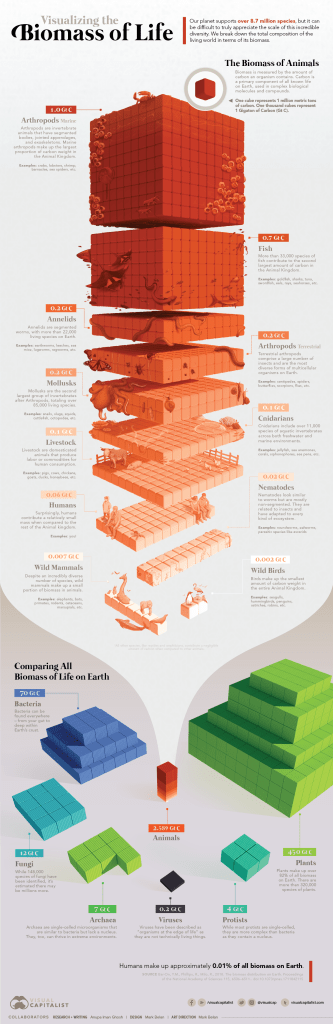 Visualising the biomass of life by Mark Belan, Visual Capitalist. https://www.visualcapitalist.com/all-the-biomass-of-earth-in-one-graphic/